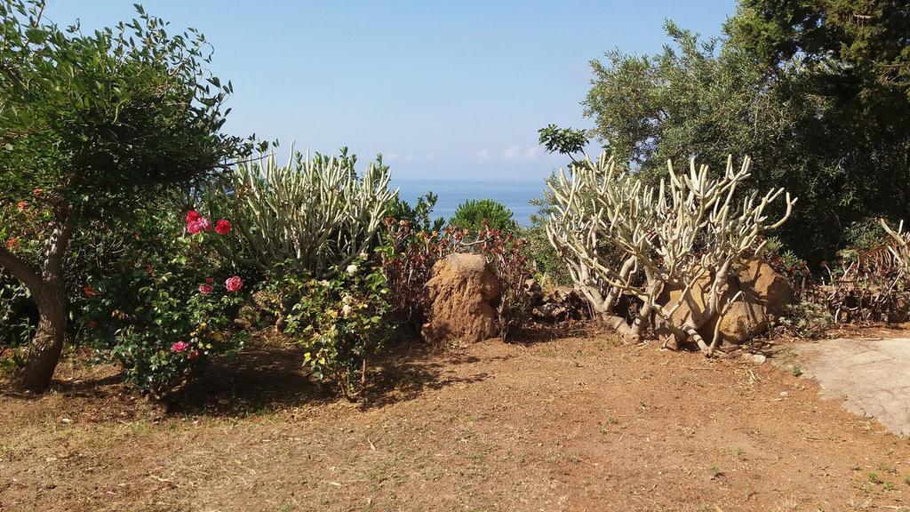 Villa La Rosa Pecorini Dış mekan fotoğraf