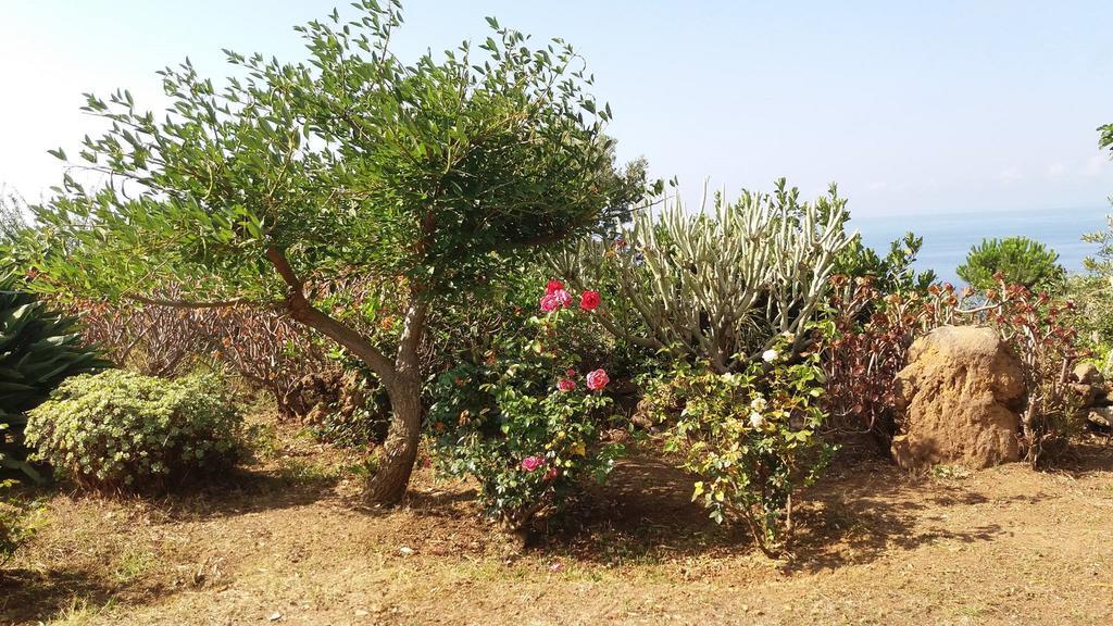 Villa La Rosa Pecorini Dış mekan fotoğraf