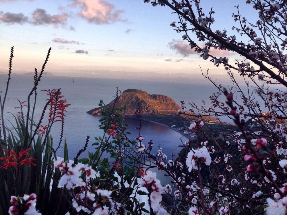 Villa La Rosa Pecorini Dış mekan fotoğraf